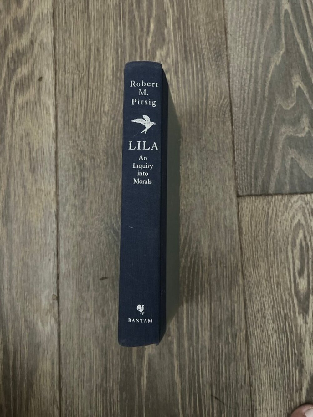 Lila : An Inquiry into Morals by Robert Pirsig (1992, Mass Market)